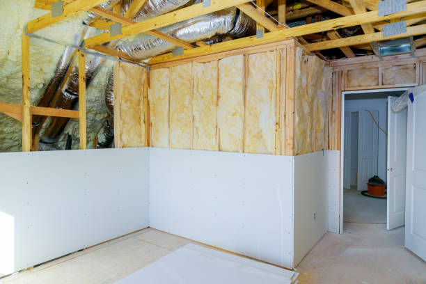 Best Types of Insulation in Rio Rico, AZ