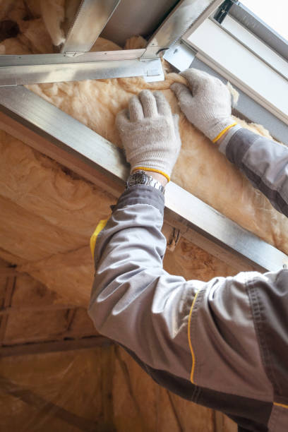 Best Insulation for Specific Applications in Rio Rico, AZ