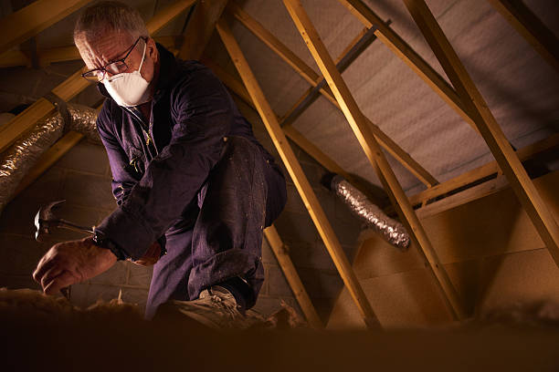 Best Types of Insulation in Rio Rico, AZ